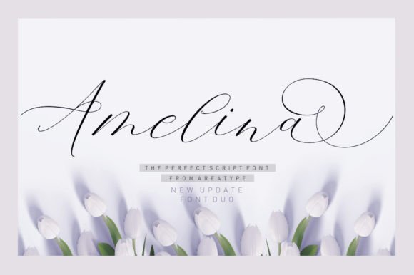 Amelina Duo: A Script Handwritten Font That Elevates Real Business Branding