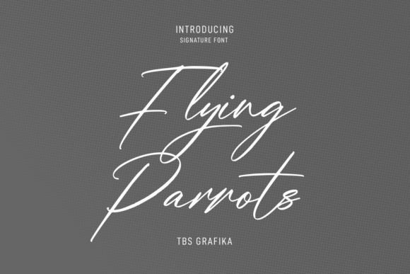 Flying Parrots Script Font for Handmade Branding