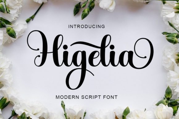 Higelia: A Script Font for Modern Branding and Campaign Design