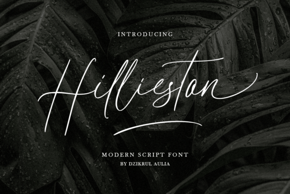 Hillieston: A Timeless Script Font for Web Design and Branding
