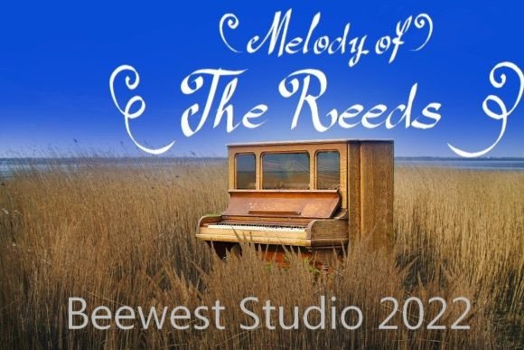 Reeds Handwritten Font for Authentic Script Charm