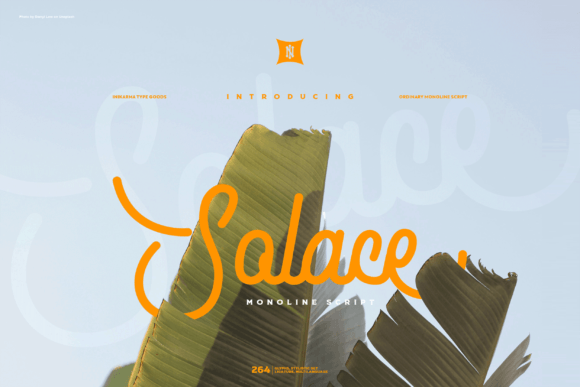 Solace: A Script Handwritten Font for Standout Campaign Titles